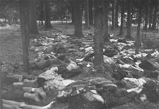 Corpses of prisoners killed in the Gunskirchen camp. The camp was liberated by U.S. forces in ea.jpg