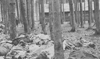 Corpses of victims of the Gunskirchen subcamp of the Mauthausen concentration camp.jpg