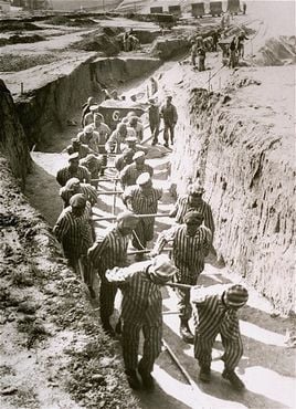 Concentration camp inmates at forced labor hauling cartloads of earth for the construction of th.jpg