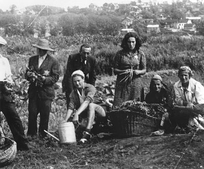 group-jews-tend-one-vegetable-gardens-kovno-ghetto.jpg