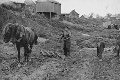 jew-uses-crude-horse-drawn-plow-prepare-agricultural-plot-kovno-ghetto.jpg