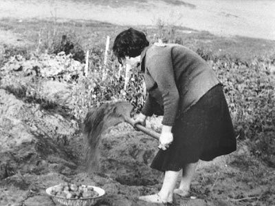 woman-digs-potatoes-vegetable-garden-kovno-ghetto.jpg