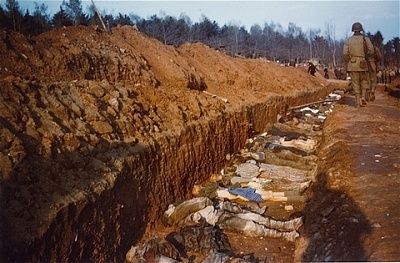 american-soldiers-walk-along-open-mass-grave-prepared-german-residents-town-.jpg