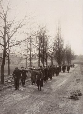 Mittelbau-Dora Liberation and Boelcke Kaserne, Nordhausen, Germany, 1945 - German civilians from the town of Nordhausen carry the bodies of prisoners to a mass grave for b