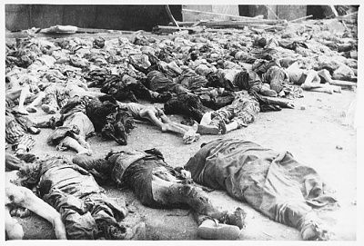 view-corpses-lying-ground-nordhausen-concentration-camp-following-liberation.jpg