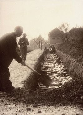 Walter Kallaur, Polish civilian buries the body of his mother, Elizabeth Kallauer, who had been .jpg