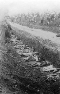 The bodies of prisoners killed in the Nordhausen concentration camp lie in an open mass grave.jpg