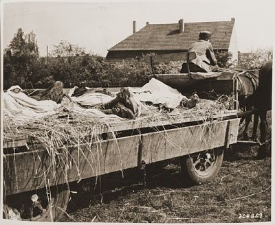 german-civilian-transports-recently-exhumed-corpses-prisoners-nearby-site-where-th.jpg