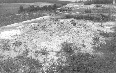 ash-pit-victims-gross-rosen.jpg