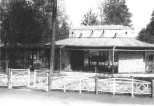 p06.jpg