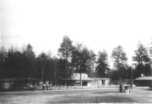 p07.jpg