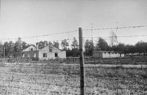 p15.jpg