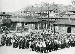 Flossenbürg Camp and Death-March Burials: Schwarzenfeld, Neunburg, Volary, 1945 - rollcall
