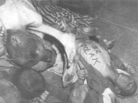 Flossenbürg Camp and Death-March Burials: Schwarzenfeld, Neunburg, Volary, 1945 - SS wrote insult on chest of victim