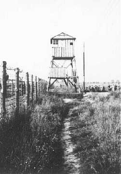 watchtower-post-liberation.jpg