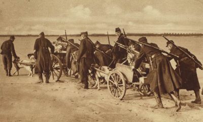 belgian-machine-guns-pulled-by-dogs-near-termonde.jpg