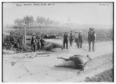 belgians-burying-horses-after-battle.jpg