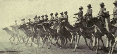 british-camel-corps-in-the-sudan.jpg