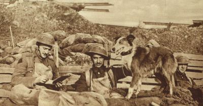 british-dispatch-dog.jpg