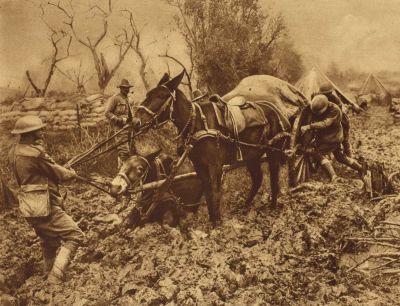 british-mule-team-sunk-in-mud.jpg