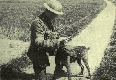 british-outpost-reading-message-delivered-by-messenger-dog.jpg