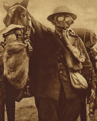 british-soldier-and-horse-wearing-gas-gear.jpg