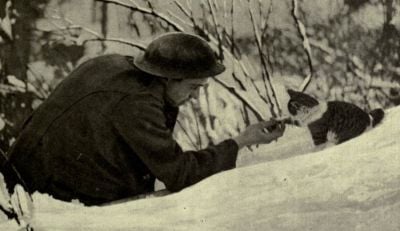 british-soldier-playing-with-mascot-cat.jpg