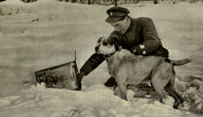 british-soldier-playing-with-mascot-dog-jack.jpg