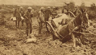 British-supply-horse-sunk-in-flanders-mud.jpg