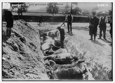 burying-horses-on-the-battlefield-of-haelen.jpg