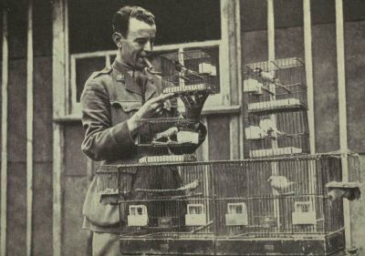 canaries-used-for-detection-of-poison-gas.jpg