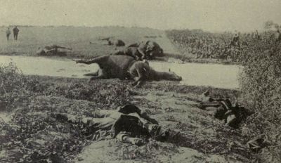 dead-belgian-cavalrymen-and-their-horses.jpg