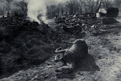 dead-horses-in-village-in-bukowina-burned-by-the-russians.jpg