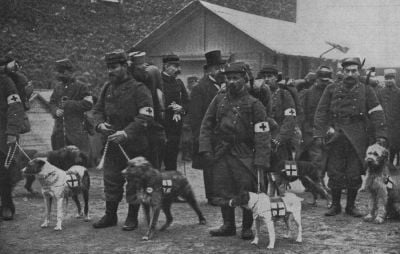 french-red-cross-dogs-and-their-handlers.jpg
