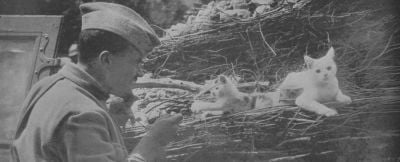 french-soldier-with-pet-cats.jpg