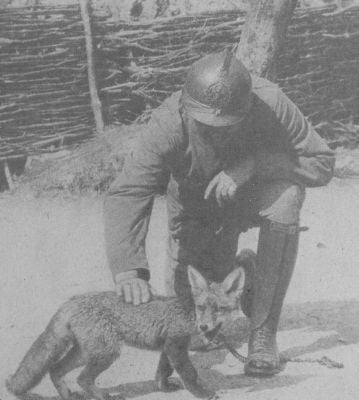 french-soldier-with-pet-fox.jpg