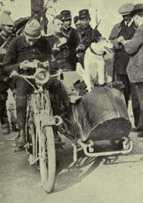 french-war-dog-prusco.jpg