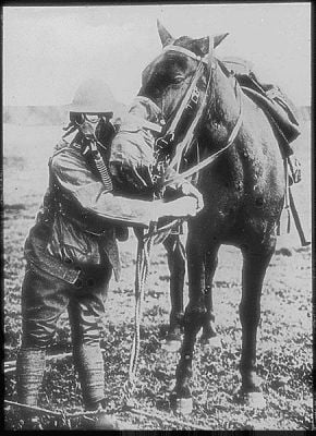 gas-masks-horse-and-american-soldier.jpg