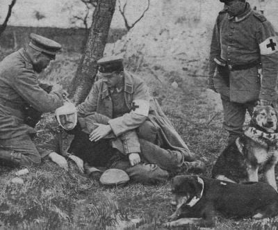 german-medics-treating-wounded-soldier-discovered-by-red-cross-dogs.jpg