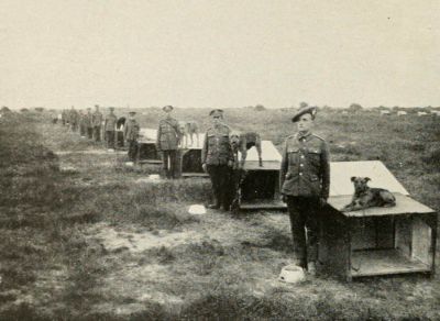 kennels-for-british-war-dogs.jpg