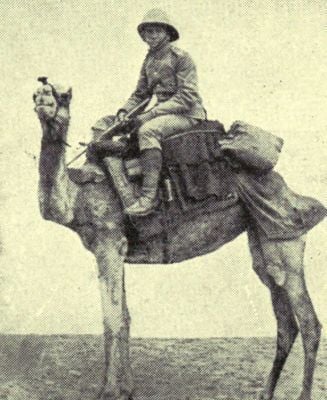 members-of-the-british-camel-corps.jpg