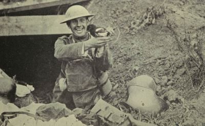 pet-magpie-found-in-captured-german-trench.jpg
