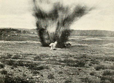 training-dogs-to-shell-fire.jpg