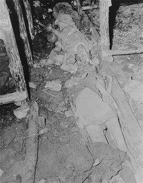 The bodies of former prisoners lie on the floor of a barracks.jpg