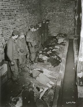 Troops of the American 82nd Airborne Division view bodies of inmates at Wöbbelin, a subcamp of t.jpg