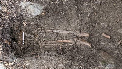archaeology-sligo1.jpg