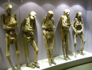 dr20.jpg