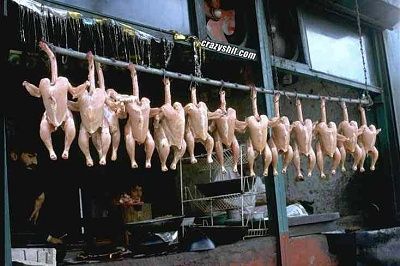 13_nude_dead-chicks.jpg