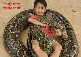 F_0_boy_snake_web.jpg