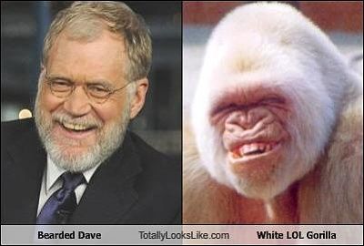 bearded-dave-totally-looks-like-white-lol-gorilla.jpg